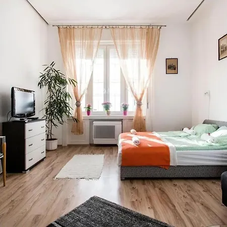 Free Garage!!! Downtown Near The New York Coffee House Apartament Budapeszt