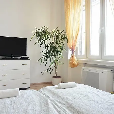 Apartament Free Garage!!! Downtown Near The New York Coffee House